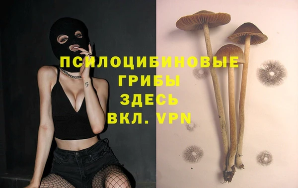 стафф Бугульма