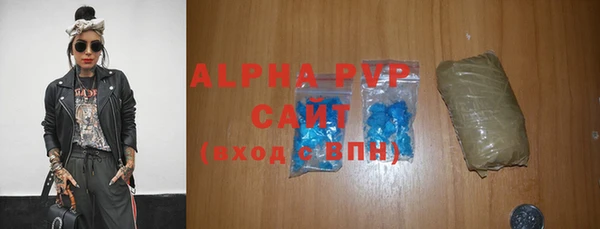 PSILOCYBIN Бородино