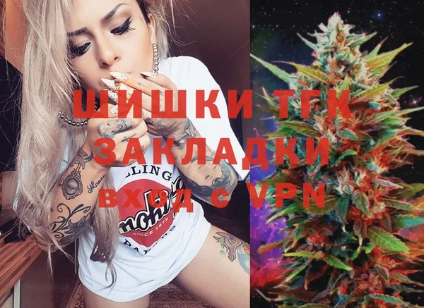 PSILOCYBIN Бородино
