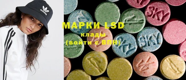 PSILOCYBIN Бородино