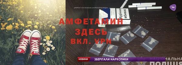 PSILOCYBIN Бородино