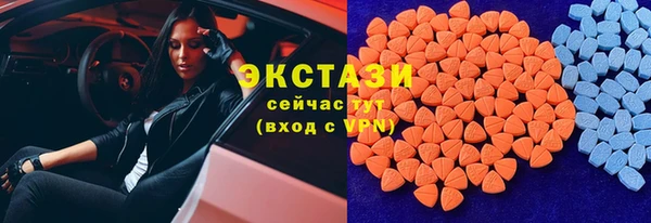 PSILOCYBIN Бородино