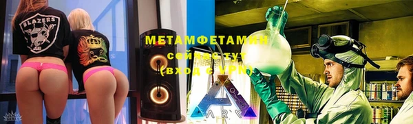 PSILOCYBIN Бородино