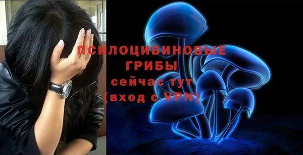 PSILOCYBIN Бородино