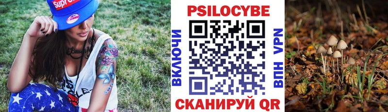 Псилоцибиновые грибы Psilocybine cubensis  Купить закладки  Маркс 